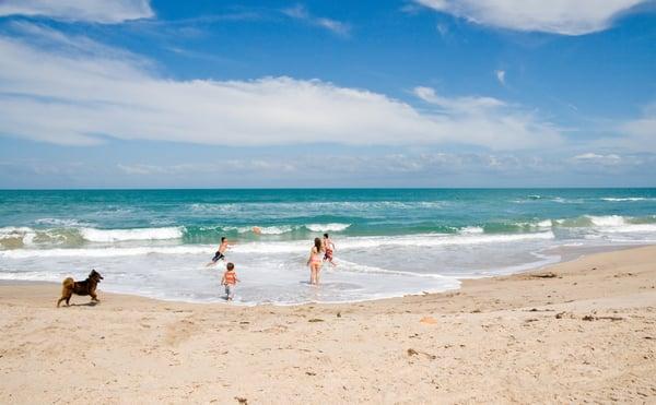 Private beach for you and loved ones