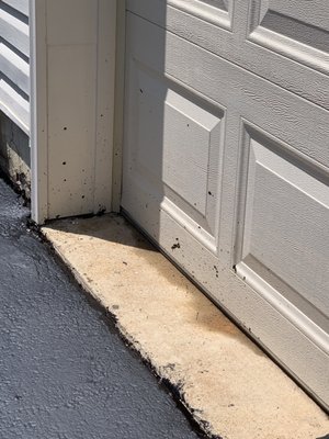 Splashed up on garage door and wood.