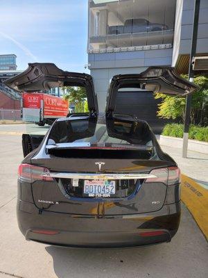 Camy's Tesla Limo Seattle