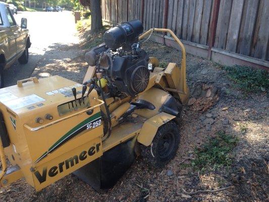 Arnaz Tree Stump Removal