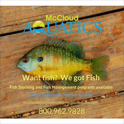 We offer Fish as well as Fishery Management plans.