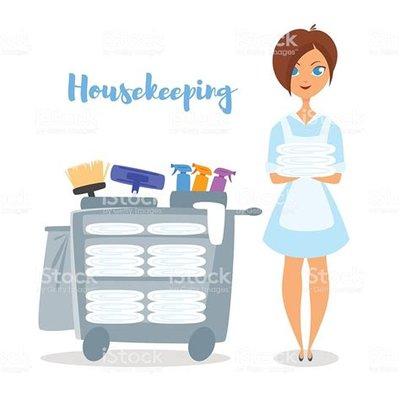 Maid/Housekeeping Services