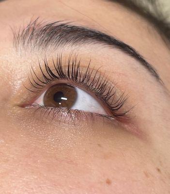 Lash Lift