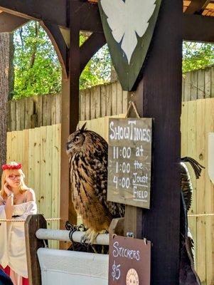 The bird show is one of my favorites!