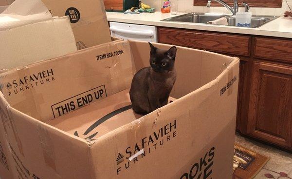 Ever feel like you're in a box and just don't know how to get out?