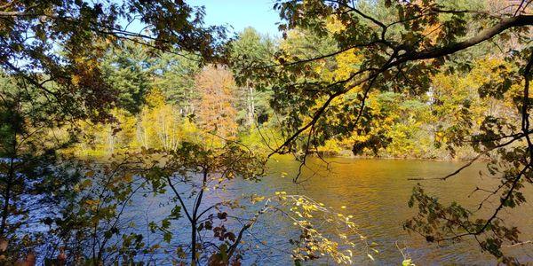 Spear Farm Estuary Preserve