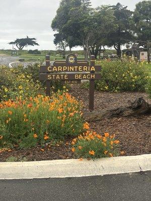 Carpinteria State Beach