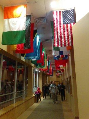 The hall of flags