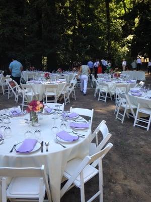 Wedding reception, Enchanted Forest, Los Gatos Mountains