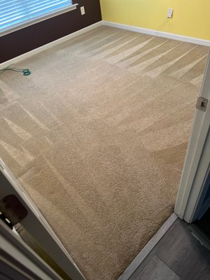 Room with many stains gone!