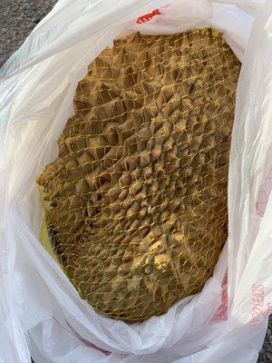 Can't wait to eat this huge durian tomorrow!