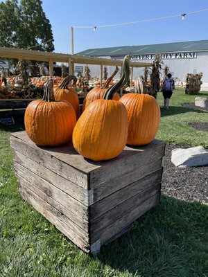 Meyer Family Farm Vegetable Stand