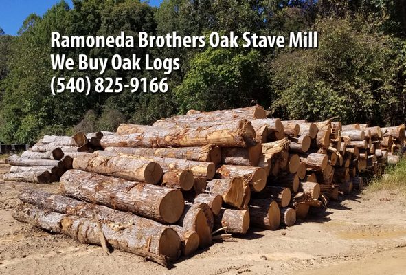 we purchase quality white oak logs