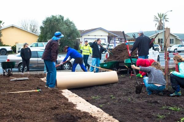 Lawn Transformation at Petaluma Fire Station