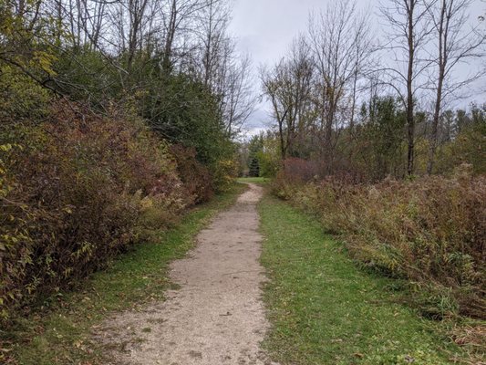 Large trails but they freeze in Winter! KEEP OUT in WINTER if you have mobility issues! If you fall, you won't be crawling through water!