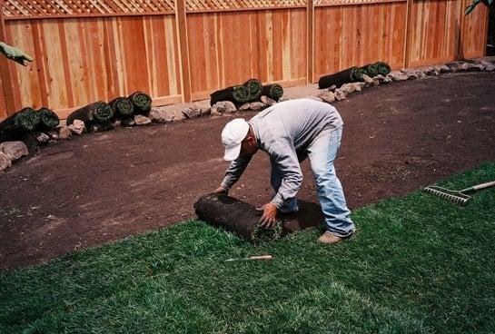 Sod Installation in Walnut Creek.