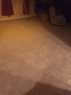 A clean carpet is a happy carpet