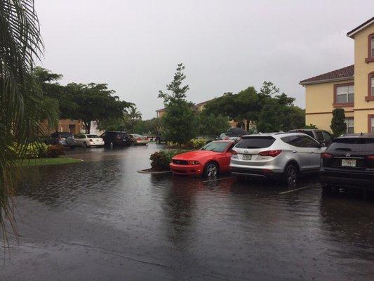 Gardens At Beachwalk