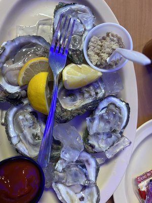 Oysters on half shell (6) - small