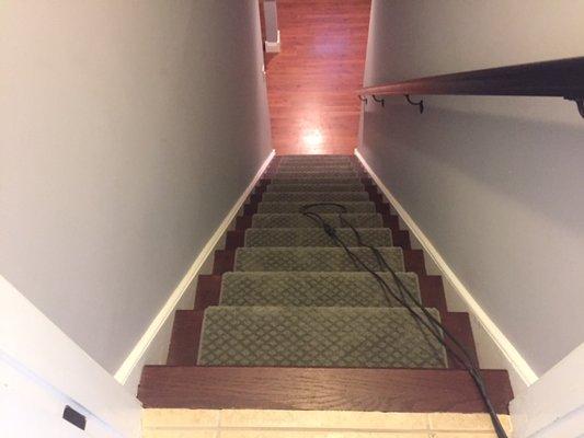 New Stair Treads and Carpet Runner