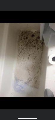 Raw sewage in my bathroom I cleaned up myself that's is illegal to have me clean it myself