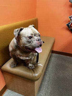 My girl making herself right at home waiting to see the doctor.