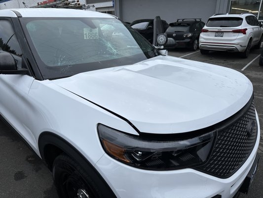 Smashed windshield, damaged hood, left fender and right fender.