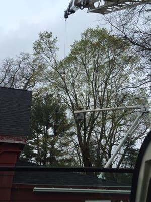 Professional residential tree work done in Andover on 4/4/2016!