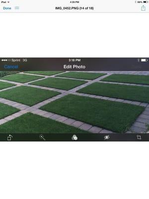 Artificial. Turf border with pavers