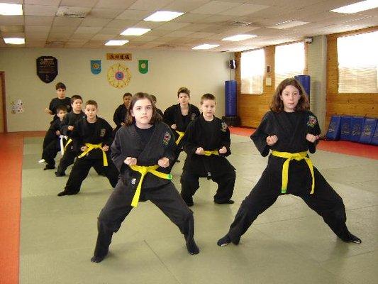 Li Ninjutsu Centers of East Islip