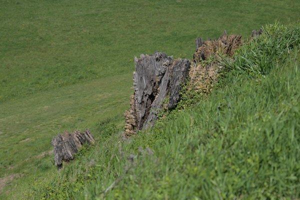 this was protruding from the side of the large mound