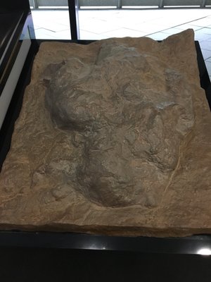 T-Rex Footprint