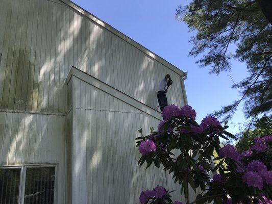 We Clean Anything!

Decks
Patios
Driveways
Siding
Gutters
Windows

You Name It We Clean It!