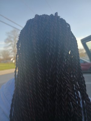 Senegalese twist small