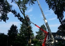 Sunny Slope Tree Service LLC