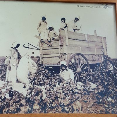 Bourn Sisters in cotton field