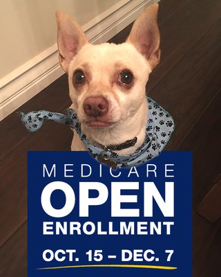 Medicare Open Enrollment