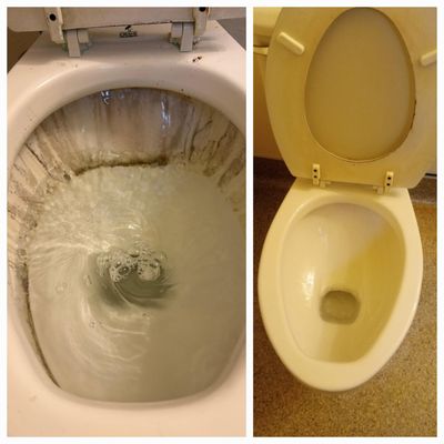 Toilet Cleaning