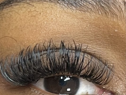 Close up hybrid lashes