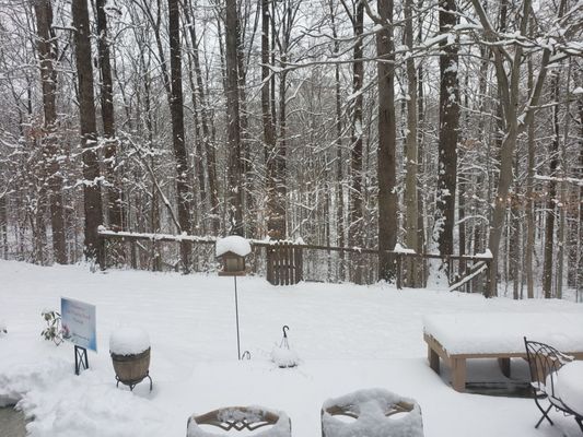 Another Winter view from the picture window of the massage suite.