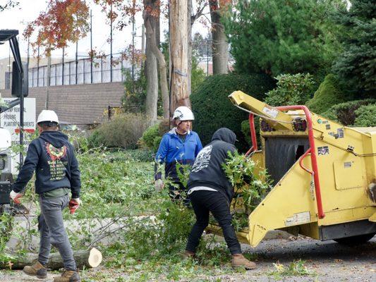 Wilson's crew grinding up branches.