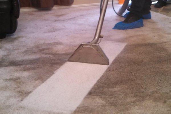 This carpet was in need of a nice deep steam clean and our technician was happily able to help