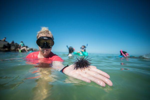 Hands on marine science