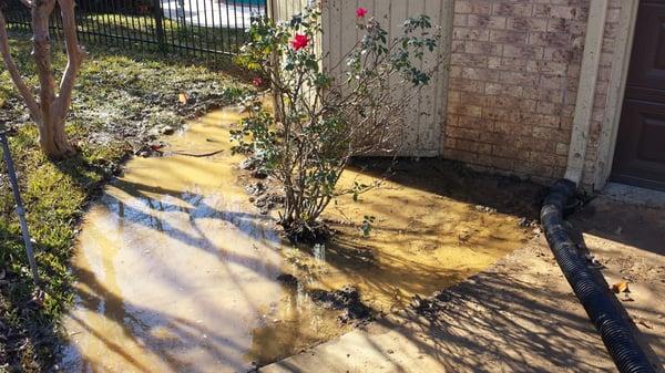 This is an example of a yard that flooded due to failed grate drains and perforated pipe without a sock filter or sediment liner.