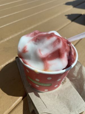 Sherbet On raspberry