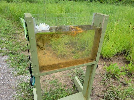 Wetland science exhibit