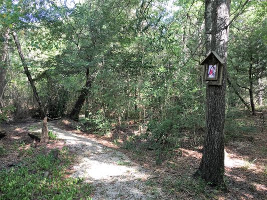 Stations of the Cross Trail