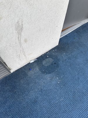 Stains on carpet