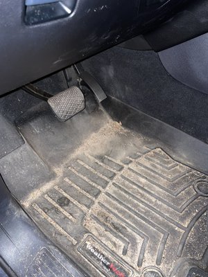 Floor mat before