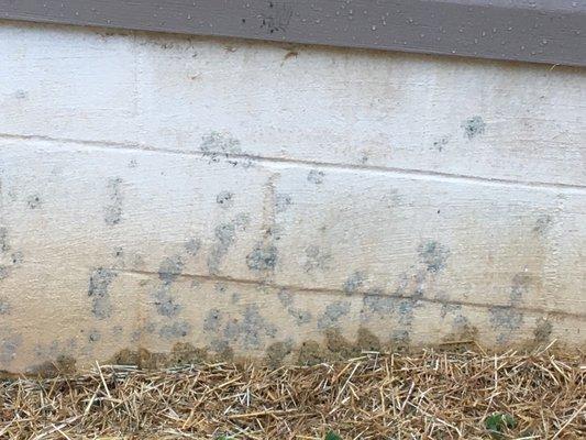 Concrete splashed on wall - How house was delivered